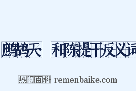 鹧鸪天·和陈提干反义词是什么意思的图片